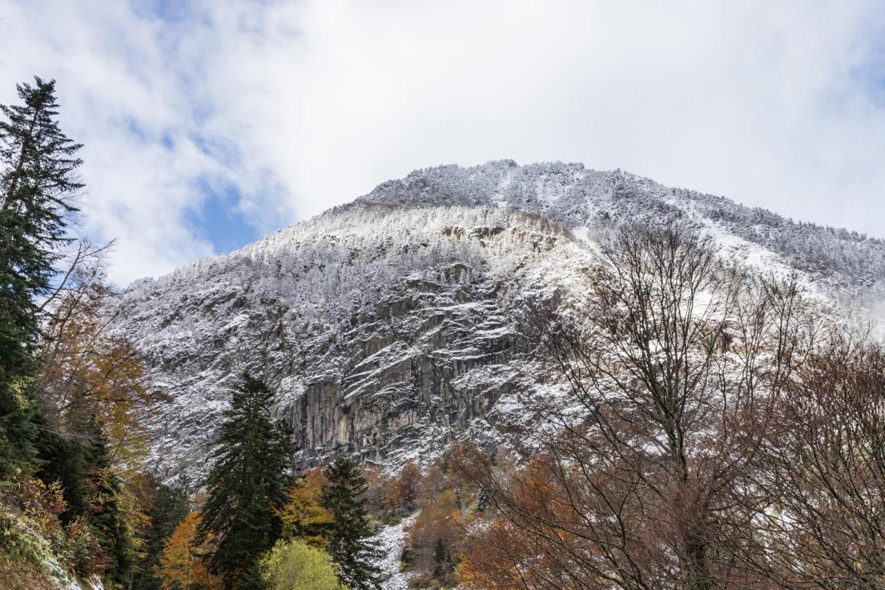 Le Foch - Centre - Parking Lourdes